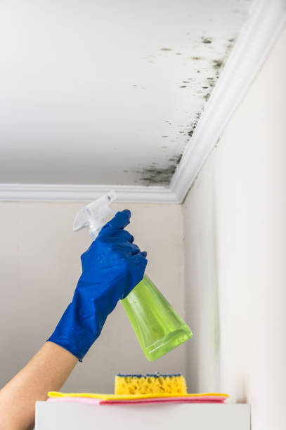 Best Residential Mold Removal  in Madison, GA